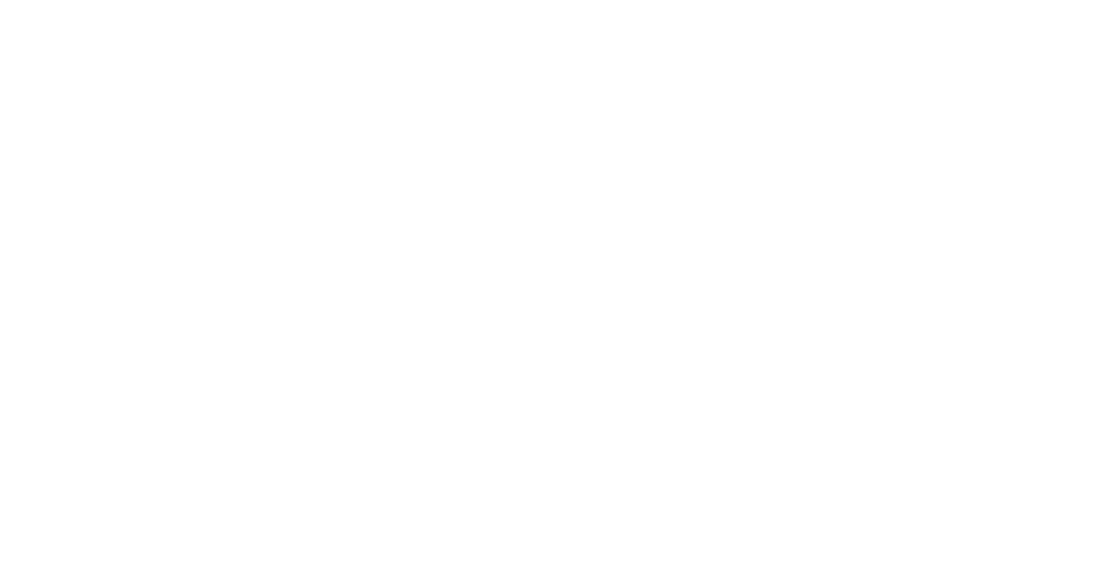 Valdosta State University logo.