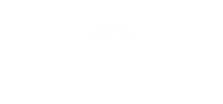 Valdosta State University logo.