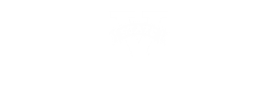 Valdosta State University logo.